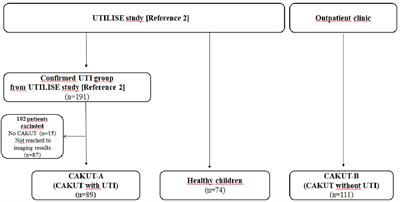 The relationship between urine heat shock protein 70 and congenital anomalies of the kidney and urinary tract: UTILISE study